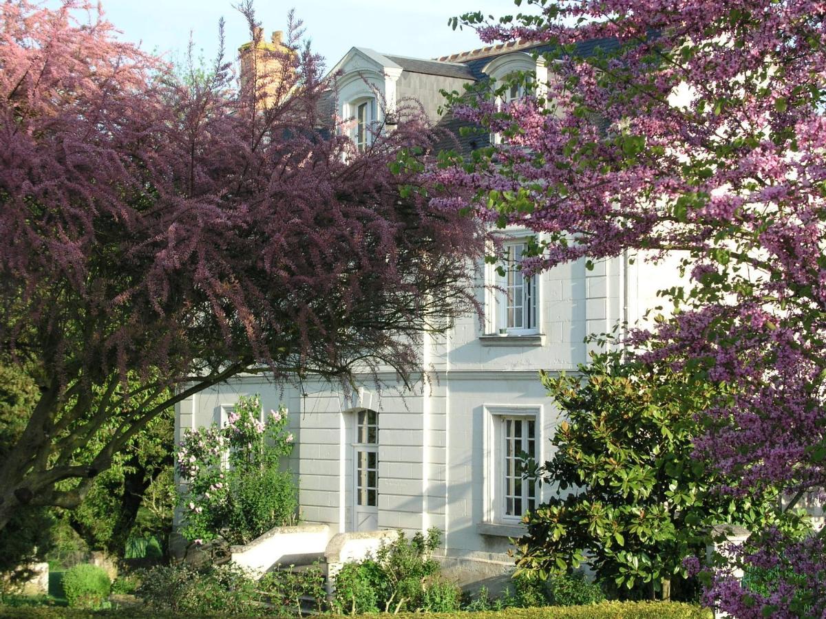 Le Chat Courant Villandry Bagian luar foto