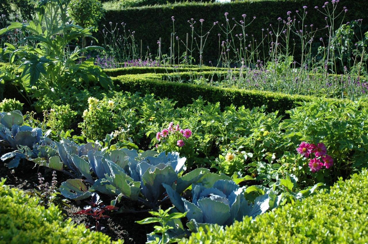Le Chat Courant Villandry Bagian luar foto